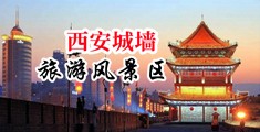 骨感美女爱肛交中国陕西-西安城墙旅游风景区