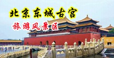 操逼少妇中国北京-东城古宫旅游风景区